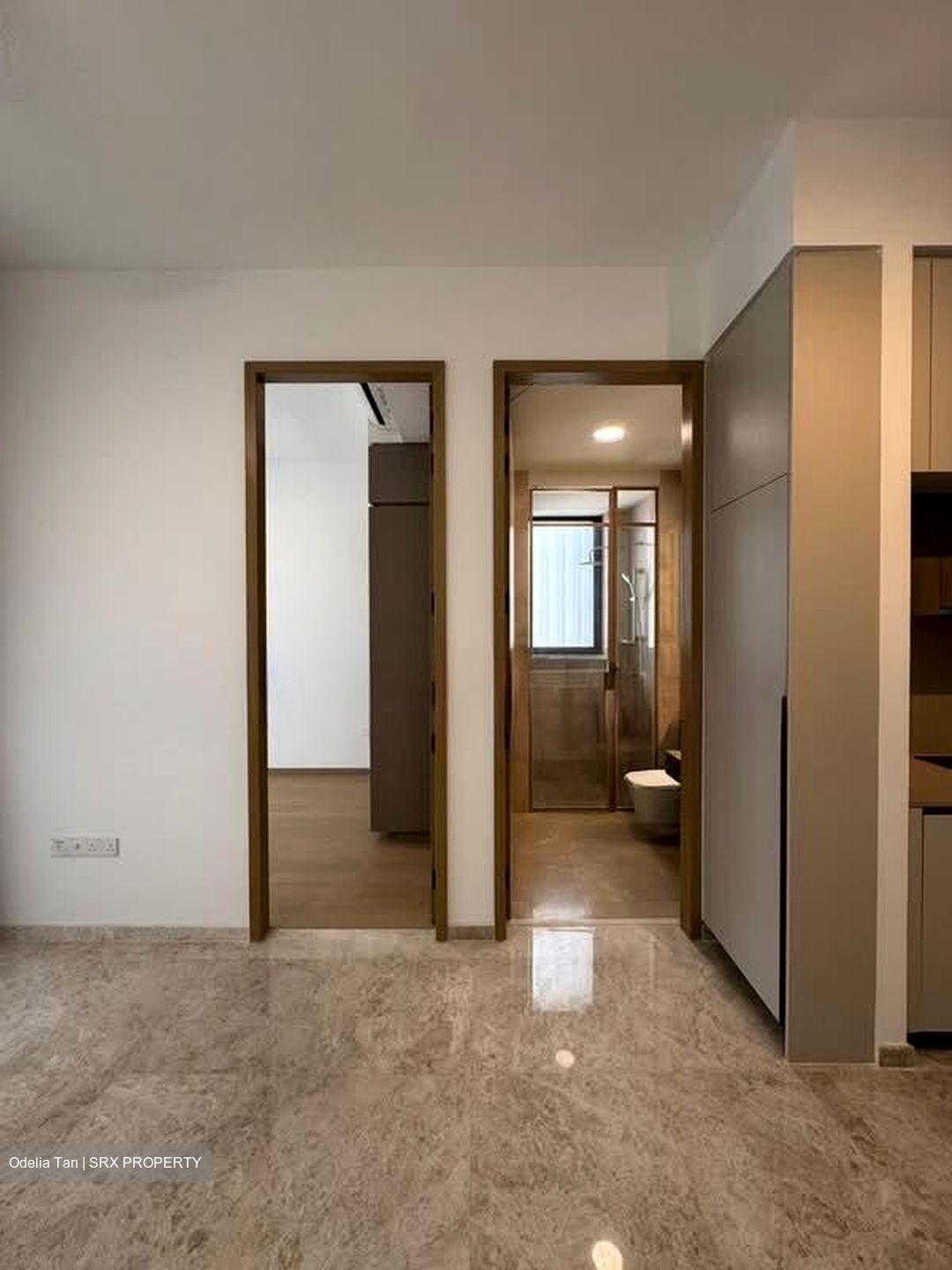 The Avenir (D9), Condominium #595813561